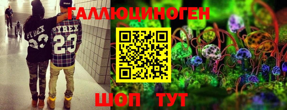 Псилоцибиновые грибы MAGIC MUSHROOMS  Вход с VPN  Гусев  Галлюциногенные грибы мухоморы 